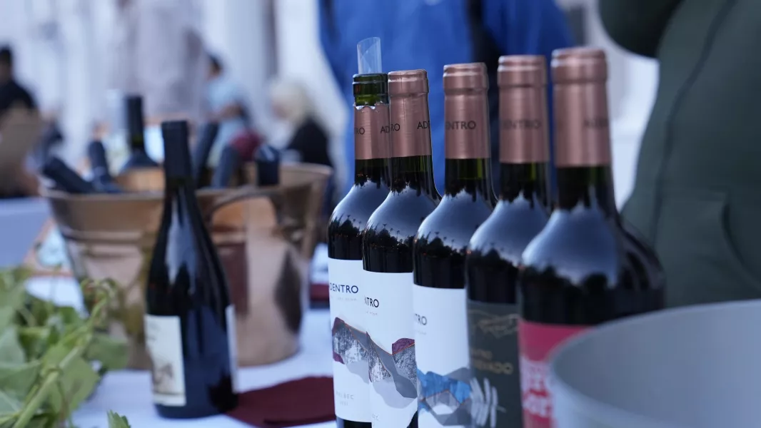 Vinos Vendimia Cachi