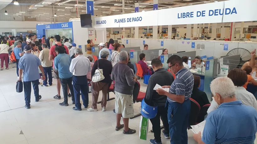 Pago anual ccm cajas