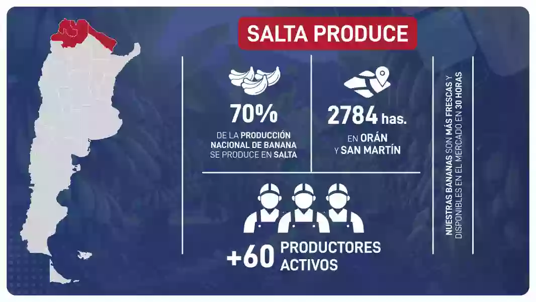 106468-salta-lidera-y-proyecta-al-norte-argentino-como-nucleo-de-la-produccion-nacional-de-banana