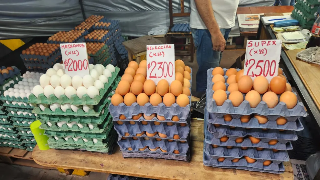 huevos-5-1024x576 (1)