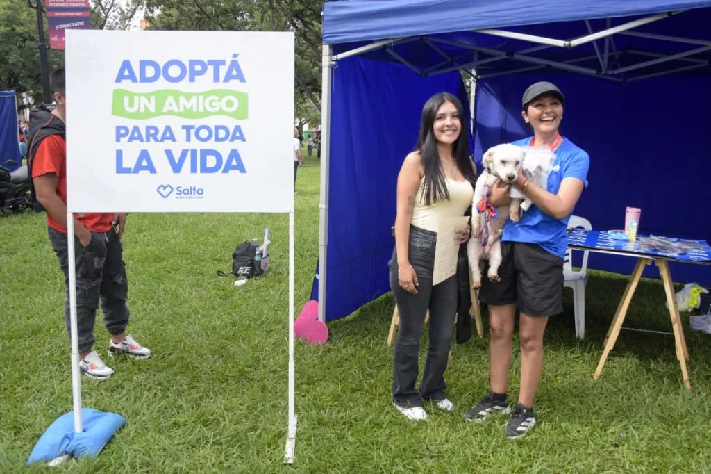 adopciones-nb-medio-maraton-perros-6-1024x682