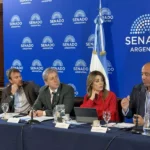 Salta llevó al Senado una propuesta para reducir las desigualdades entre provincias